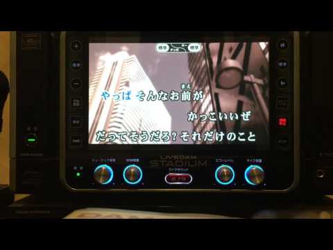 STEP BY STEP 《歌ってみた》