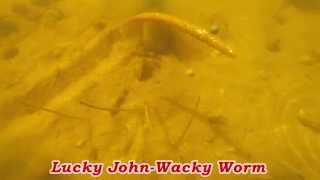 Lucky John Wacky Worm - взгляд из под воды