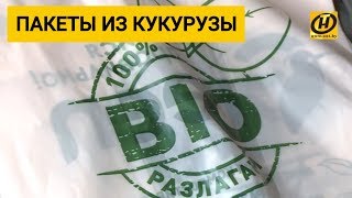 Пакеты из КУКУРУЗЫ уже появились в магазинах Минска!