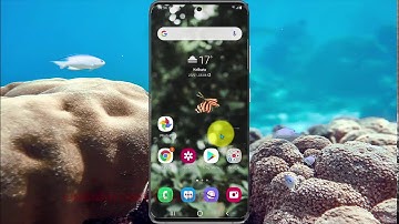 Samsung Galaxy S20 : How to set spot colour on image (Android 11)