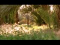 Documental: &quot;Los Orígenes de Egipto&quot;-Parte Nº01