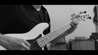 Alice In Chains Nutshell Bass Cover