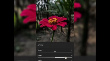 Dark Moody Flower editing Video #lightroom