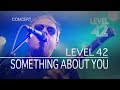 Level 42 - Something About You (Sirens Tour Live, 2015) OFFICIAL