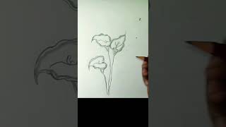 FlowerArtxlikesubscribeplease???????????