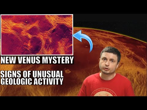 Video: Leonid Ksanfomality Told The Details Of The Discovery Of Life On Venus - Alternative View