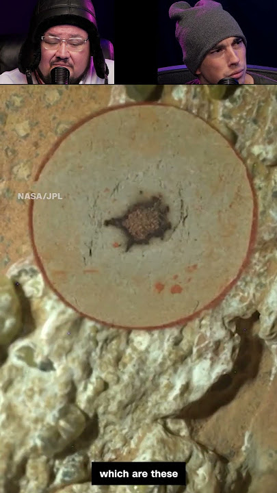 🚨NASA admits LIFE ON MARS🚨