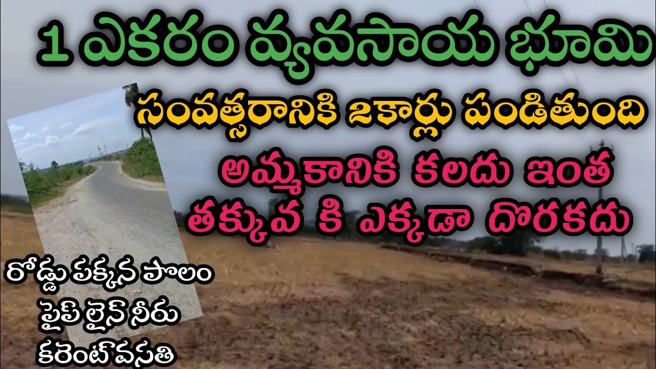 agricultural land for sale in telanganaagricultural land for sale in