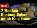 7 manfaat kentang rebus untuk kesehatan