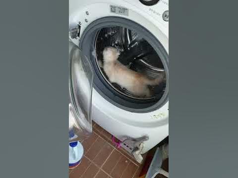 세탁기 돌리는 고영희 - Youtube