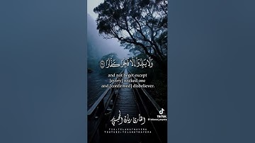 تلاوات نيرة #اكسبلور #تيك_توك #الرحمن #دويتو #الثامن #لايك #حالات_واتس #المصحف #العظماء #القزابري