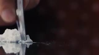 Wolf Of Wall Street Movie Scene Dicaprio Best Video Money