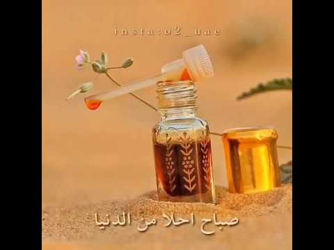 صباح العود والعنبر