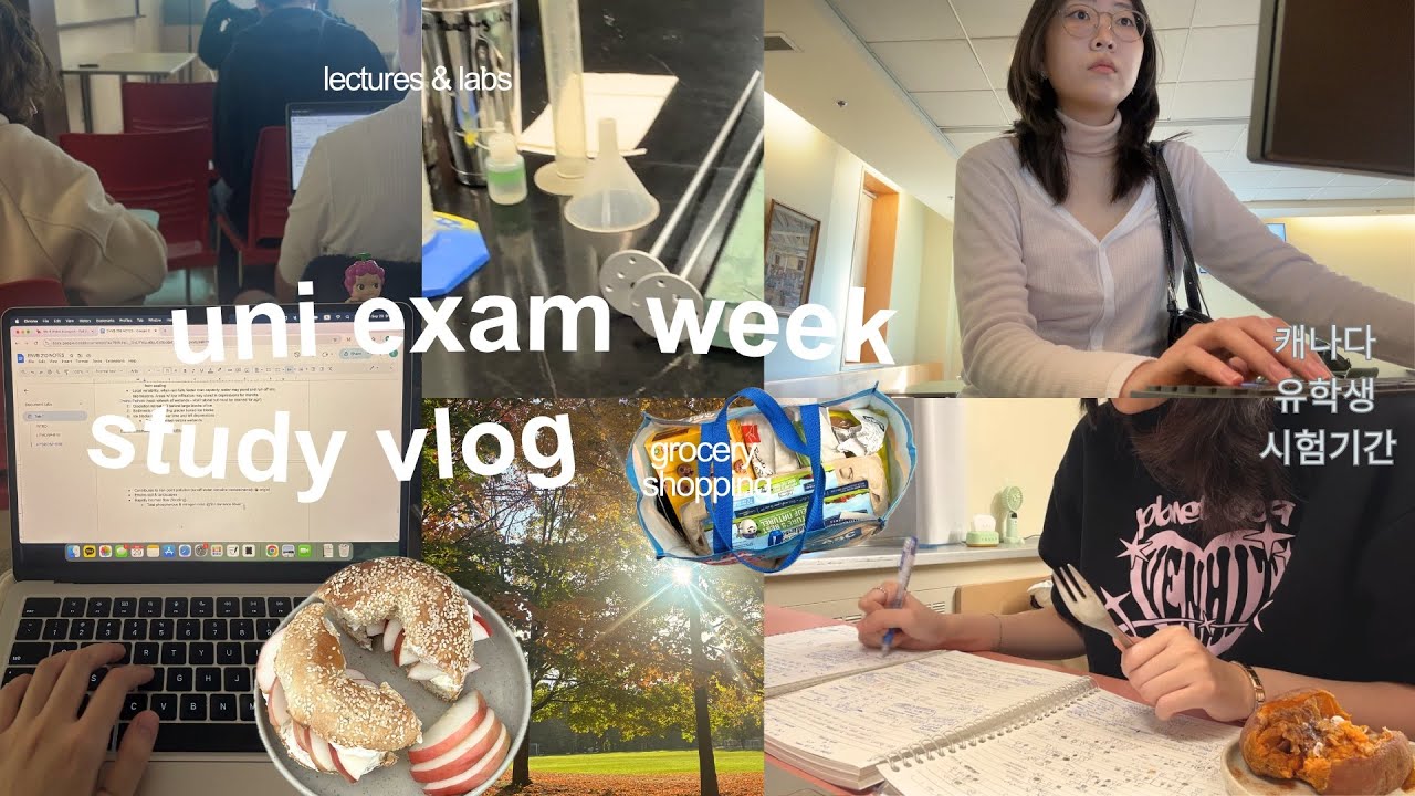 Видеоблог о неделе подготовки к университетским экзаменам𝜗𝜚 | Неделя, полная учёбы: занятия в 8 у...