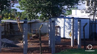 Praça revitalizada no Parque do Som em Pato Branco...