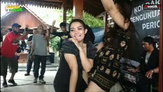 emas hantaran all artis biduan dangdut jogja, aini zafara mila santika dennis vanessa, adu goyang