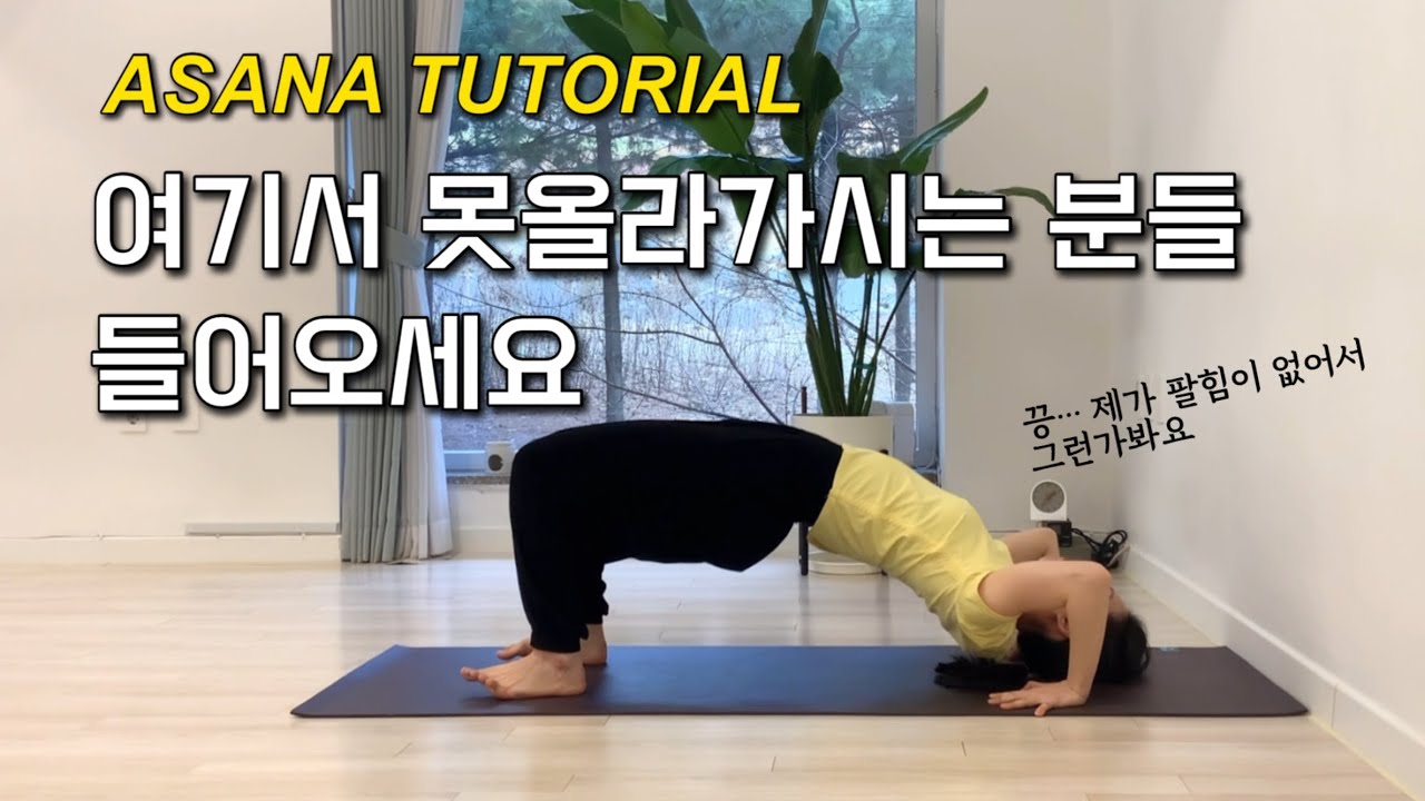 뒤집은 활자세 안되는분들 들어오세요 / 5가지 솔루션