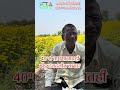 35-40 डीग्री टेंपरेचर मध्ये टवटवीत झेंडूचे रहस्य॥तीन वर्षांपासून नियमित युजर #farming #soil #organic