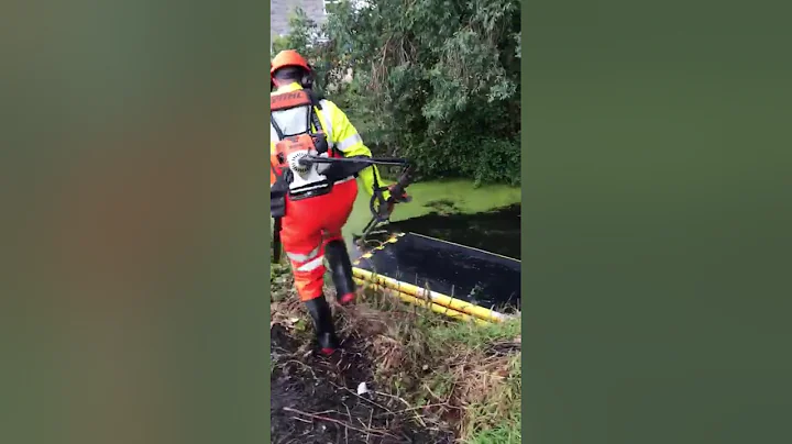 Best video i've ever seen, hands down😂😂