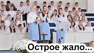 Острое жало