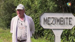 Saving Our Planet: Allan Schwarz’s 'My Earth' on Planting 20 Trees Daily to Fight Climate Change