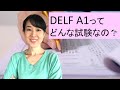 DELF A1 対策にお勧め。DELF A1 ってどんな試験？