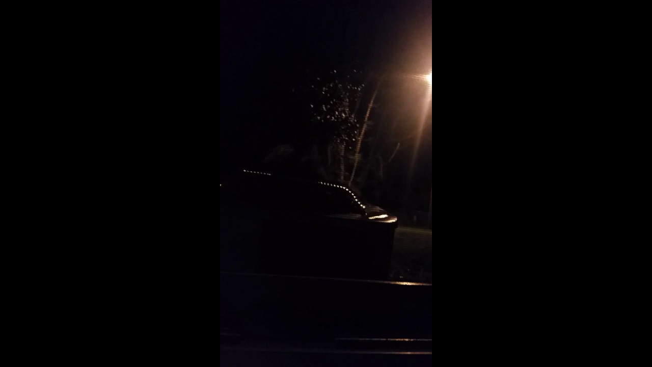 Strange trumpet noises in the sky Franklin Co NC 2017 YouTube