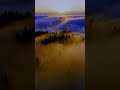 Daayre Arijitsingh Trendingshorts Viralvideo Ytshorts Trending Viralshorts Shorts Viral Daayre Arijitsingh Trendingshorts Viralvideo Ytshorts Trending Viralshorts Shorts Viral