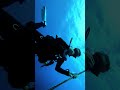 Which transition wins? first attempt! #transition #scubadiving