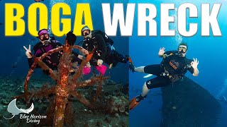 Scuba Diving BOGA Wreck | Better Than The LIBERTY WRECK In BALI ?