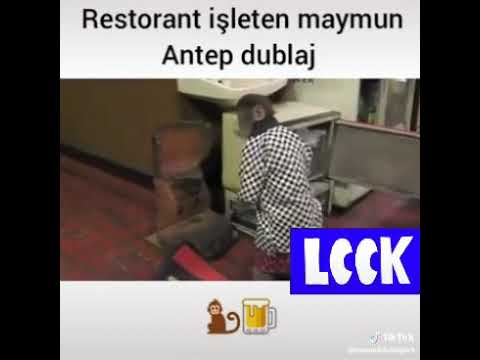 Restorant İşleten Maymun Caadi