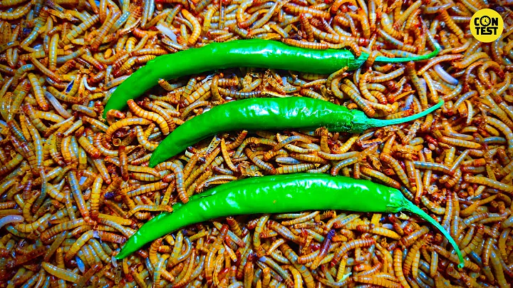 chili pepper vs mealworms /Mealworms eating hot chili pepper Time lapse /10000worm!