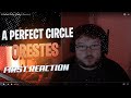 A Perfect Circle - Orestes (Reaction)