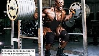 Самые сильные атлеты Animal Gym Ялта