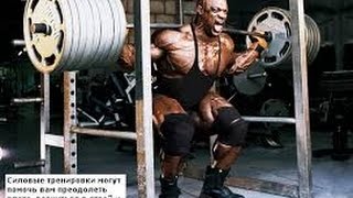 Самые сильные атлеты Animal Gym Ялта(В этом видео мы покажем одних из самых сильных атлетов которые занимаются в нашем зале, в месте с нами и..., 2017-01-05T19:56:07.000Z)