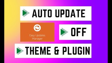 How to Disable theme plugin Automatic Updates in WordPress