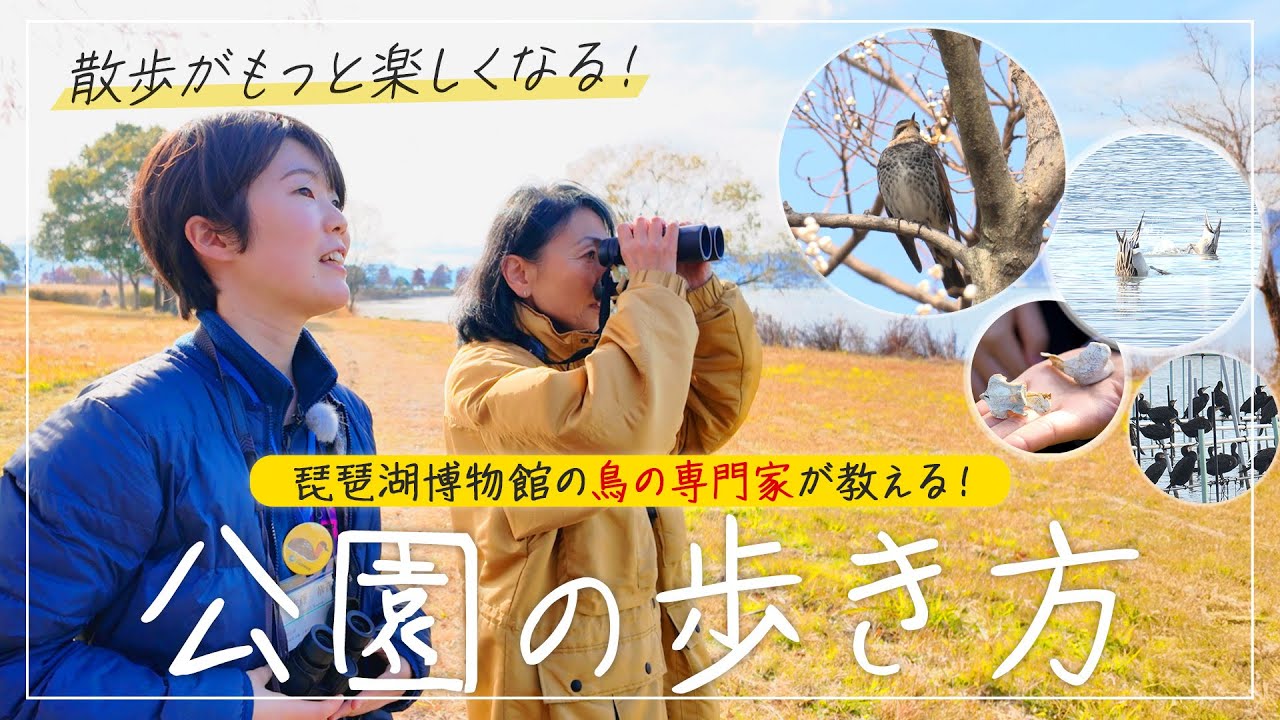 少し視点を変えるだけで散歩が楽しくなる！学芸員が教える公園の歩き方！