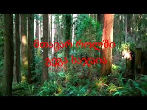 მცდარი არჩევანი : ბილიკი #666 (თრეილერი)