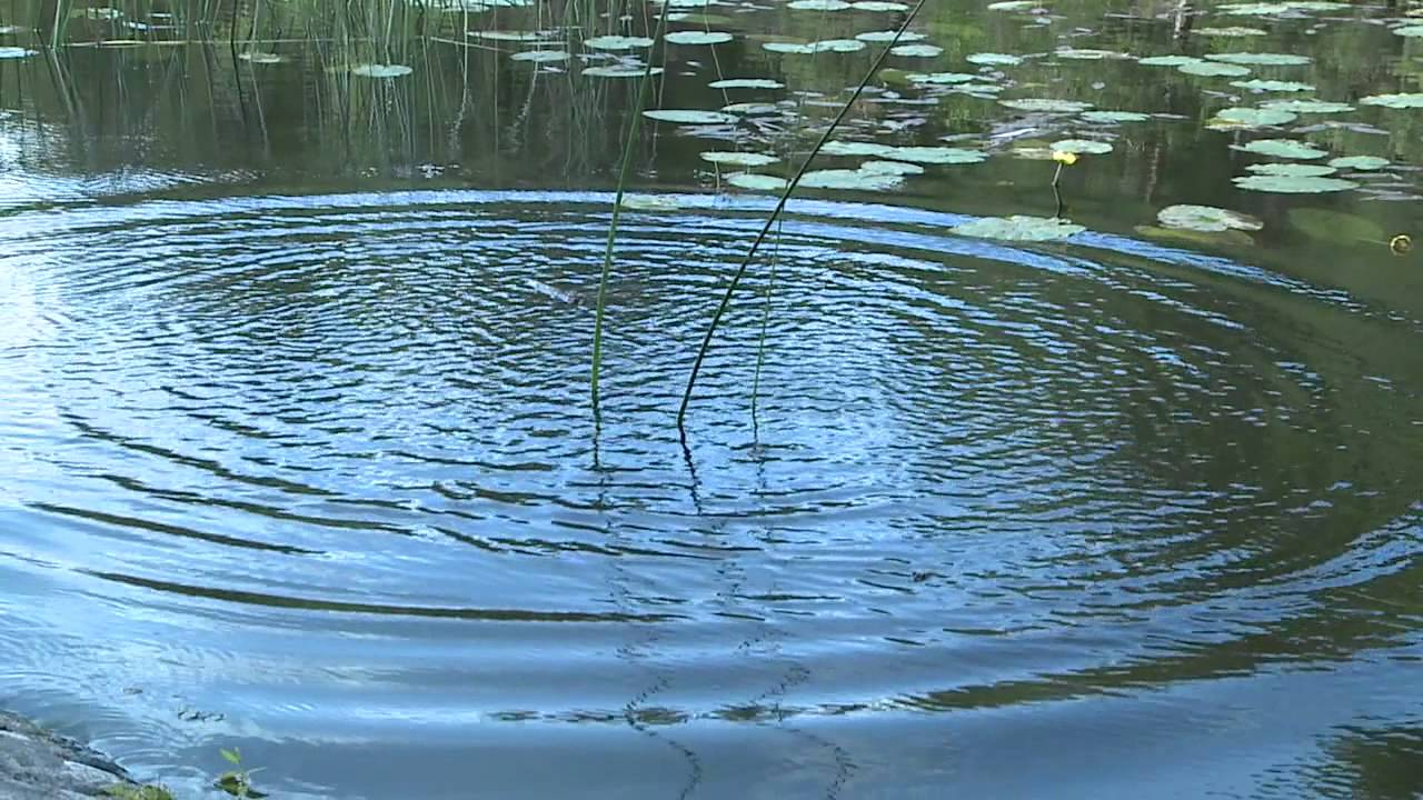 Sony - XDCAM EX: Slow Motion Test