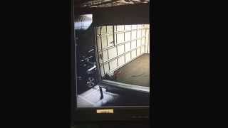 How NOT to load bread onto a van..