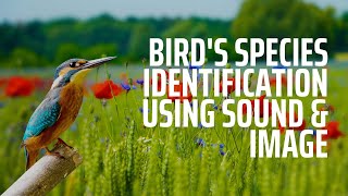 AE002 | Bird's Species Detection Using Image & Sound screenshot 4