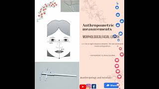 Morphological Facial Lengthanthropometric Measurementsanthropometry And Tutorials