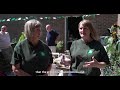 The Sage Network, Dover: growing food in the heart of a busy shopping centre