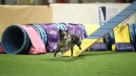 Fantastic Running Contacts with Jordan Biggs -- Online Course