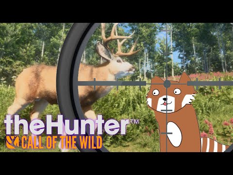 【call of the hunter wild】ゴールドが取れぬぇ【VOLGのゲーム放送＠2399】