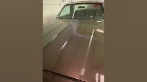 El Camino