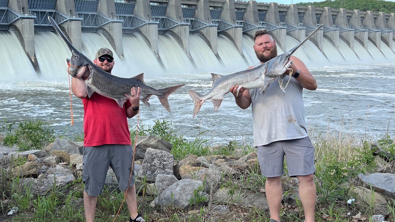 Meet your Meat, Caribbean Jerk Spoonbill Edition