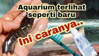 cara membersihkan kaca Aquarium yang kusam