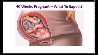 40 Weeks Pregnant – What To Expect