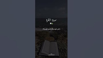 تلاوة جميلة بصوت الشيخ ماهر المعقلي من سورة البقرة #شهر_رمضان #viral #ماهر_المعيقلي #سورة_البقرة